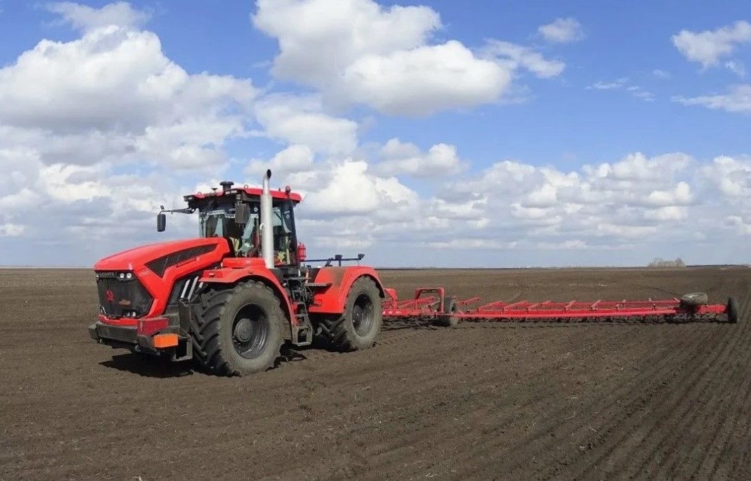 В Саратовской области засеют больше твердой пшеницы, гороха и нута